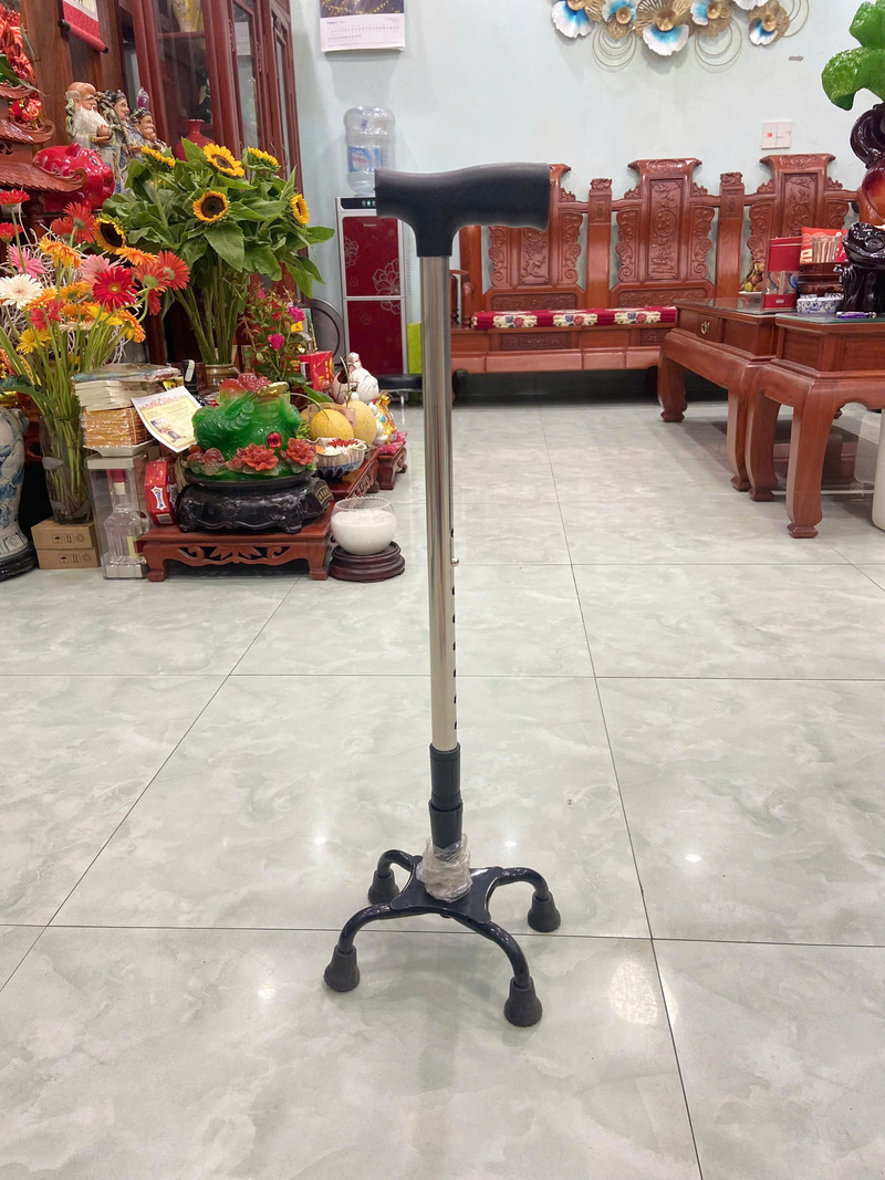 Gậy chống